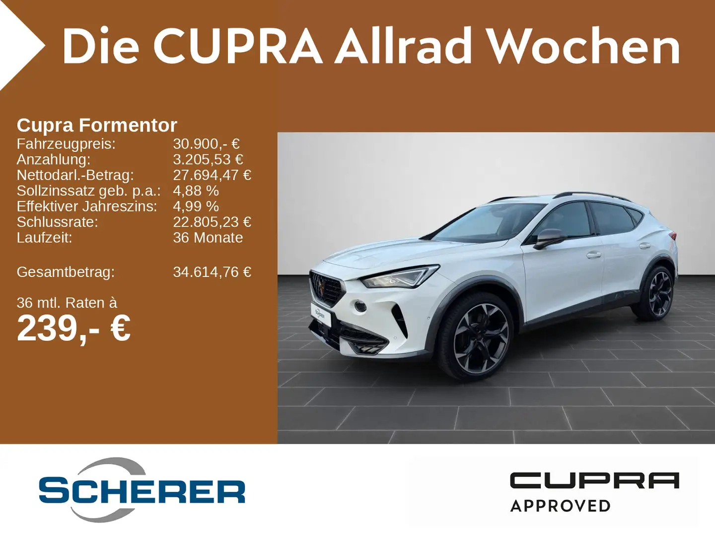 CUPRA Formentor VZ 2.0 TSI DSG 4Drive SHZ elektr. Heck Weiß - 1