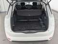 Citroen C4 SpaceTourer C4 Grand Spacetourer 1.2 PureTech 130 Shine S&S Blanco - thumbnail 11