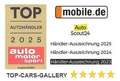 BMW i3 s 120Ah GSD H&K Driving + KAM VOLL-LEDER Navi Gris - thumbnail 43