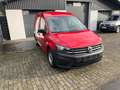 Volkswagen Caddy Kasten Klima VW-Scheckheft 1.Hand 73Tkm MwSt Rot - thumbnail 7