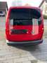 Volkswagen Caddy Kasten Klima VW-Scheckheft 1.Hand 73Tkm MwSt Rot - thumbnail 4