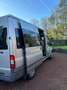 Ford Transit Bus Tourneo Gris - thumbnail 2