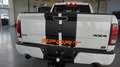 Dodge RAM 1500 HEMI 5.7 * Crew-Cab*4x4*hoch+breit*AHK Weiß - thumbnail 14