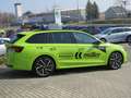 Skoda Octavia Combi 1.5 TSI mHEV 110kW Sportline Grün - thumbnail 7