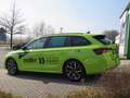 Skoda Octavia Combi 1.5 TSI mHEV 110kW Sportline Grün - thumbnail 12