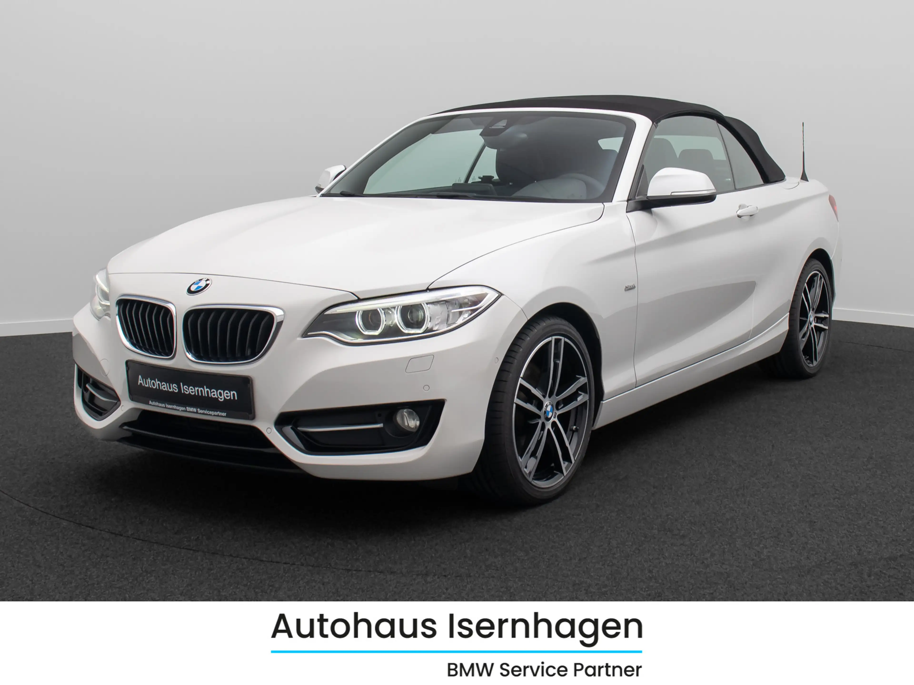 BMW 220 Cabrio Sport Line HiFi PDC Alarm Leder 18