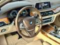 BMW 730 730Ld xdrive Eccelsa auto  2018 - thumbnail 8