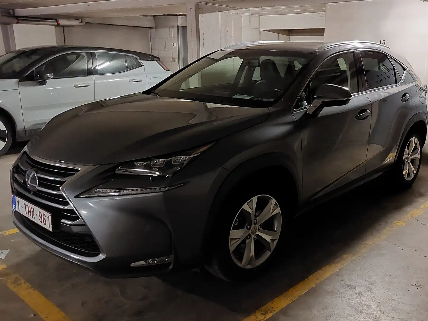 Lexus NX 300h NX 300h 2.5i AWD Privilege Line E-CVT Срібний - 2