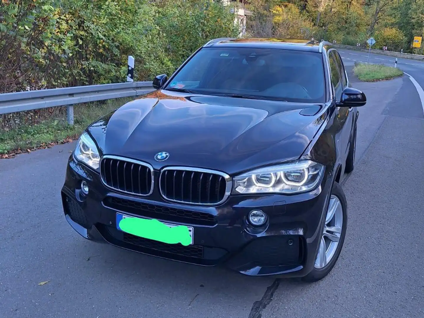 BMW X5 X5 xDrive 3.0D Blau - 1