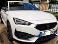 CUPRA Leon Hybride 245cv Blanc - thumbnail 7