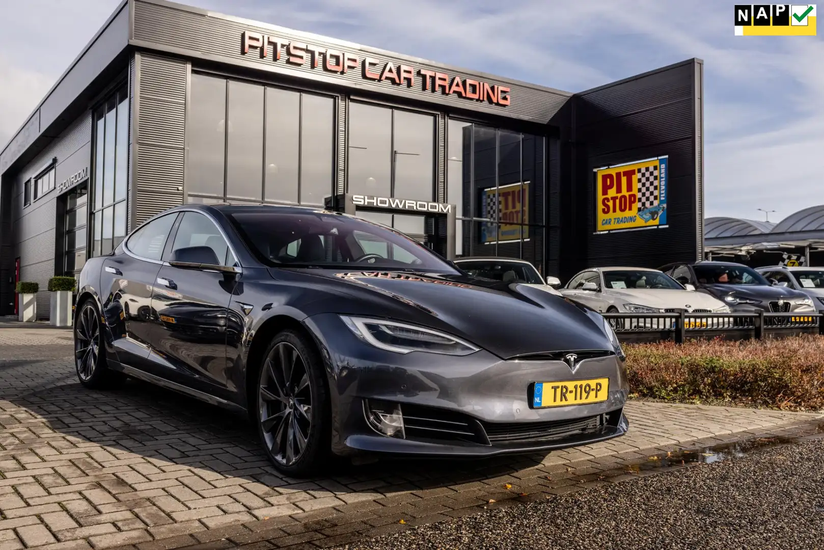 Tesla Model S 100D, 418 PK, NL Auto, Camera, Autopilot, Stoelver Grijs - 1