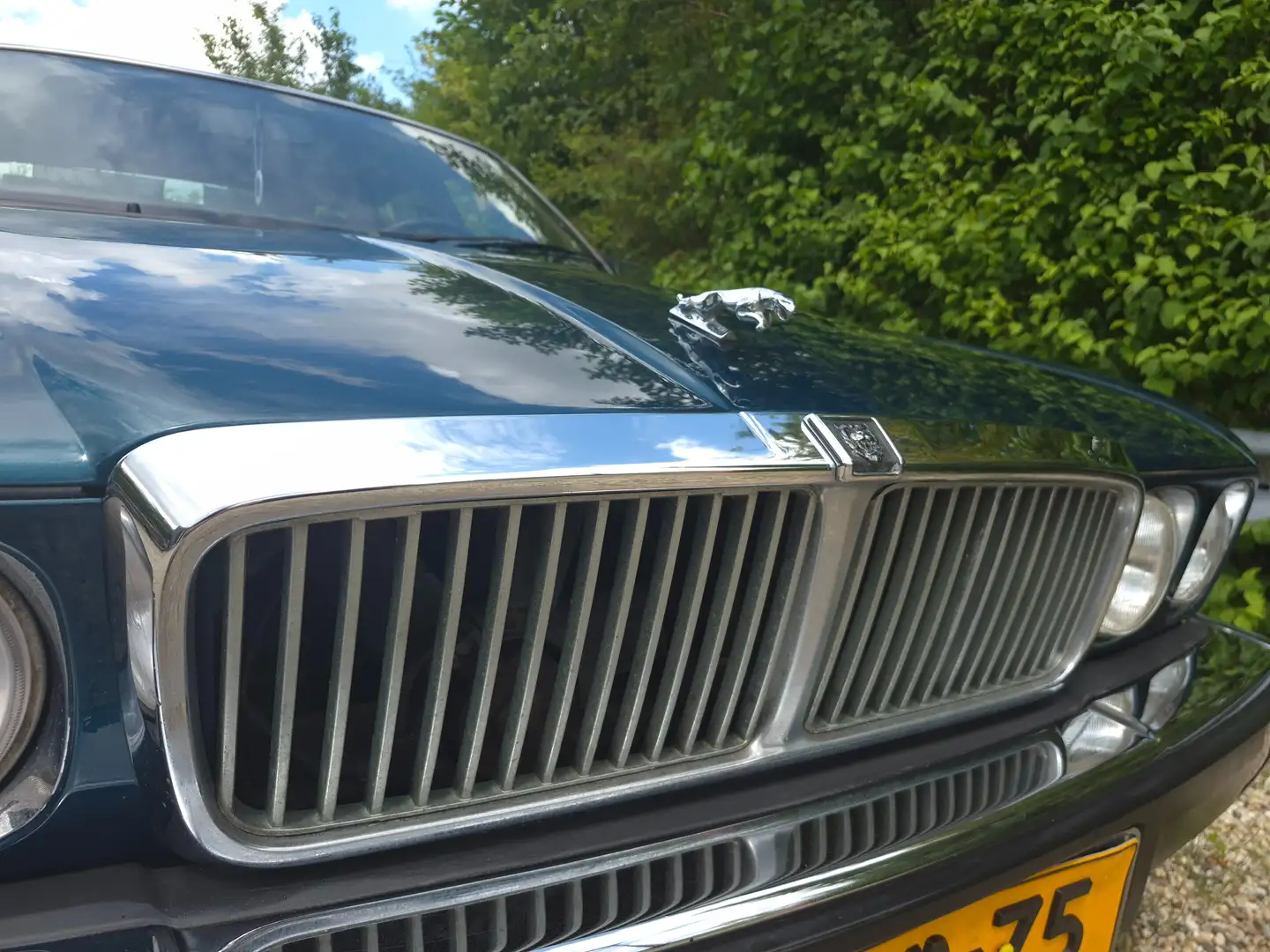Jaguar XJ XJ 3.2 Albastru - 2