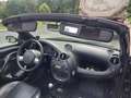 Ford Streetka Streetka 1.6 8V Elegance Schwarz - thumbnail 11