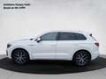 Volkswagen Touareg R-Line TDI SCR 4MOTION Blanc - thumbnail 3