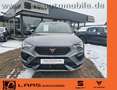 CUPRA Ateca Cupra Ateca 1,5 TSI DSG, Navi, elektr. Sitze/LED Grau - thumbnail 2