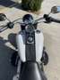 Harley-Davidson Fat Boy Fat Boy Special - thumbnail 4