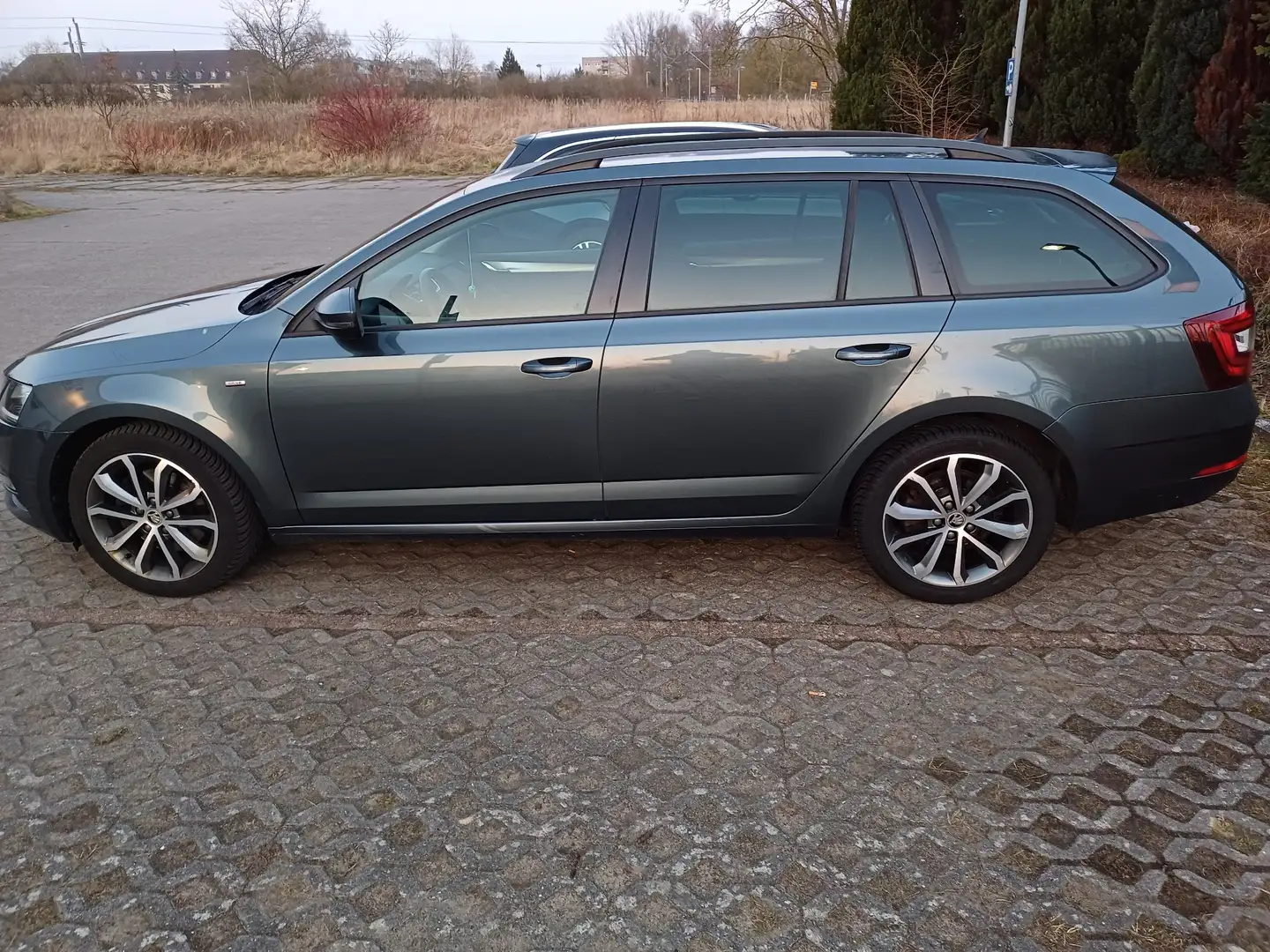 Skoda Octavia Drive Grau - 2