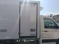 Volkswagen Crafter CON CELLA FRIGO FRCX -20° Bianco - thumbnail 7