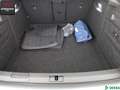 Skoda Superb Superb 2.0 TDI 4x4 STANDHEIZ,KEYLESS,ACC,PANO,SH Grey - thumbnail 12