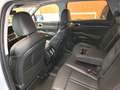 Kia Sorento 2,2 CRDi SCR AWD Platin DCT Blanco - thumbnail 8