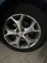 Ford Focus 5p 1.6 tdci Titanium 90cv - thumbnail 12