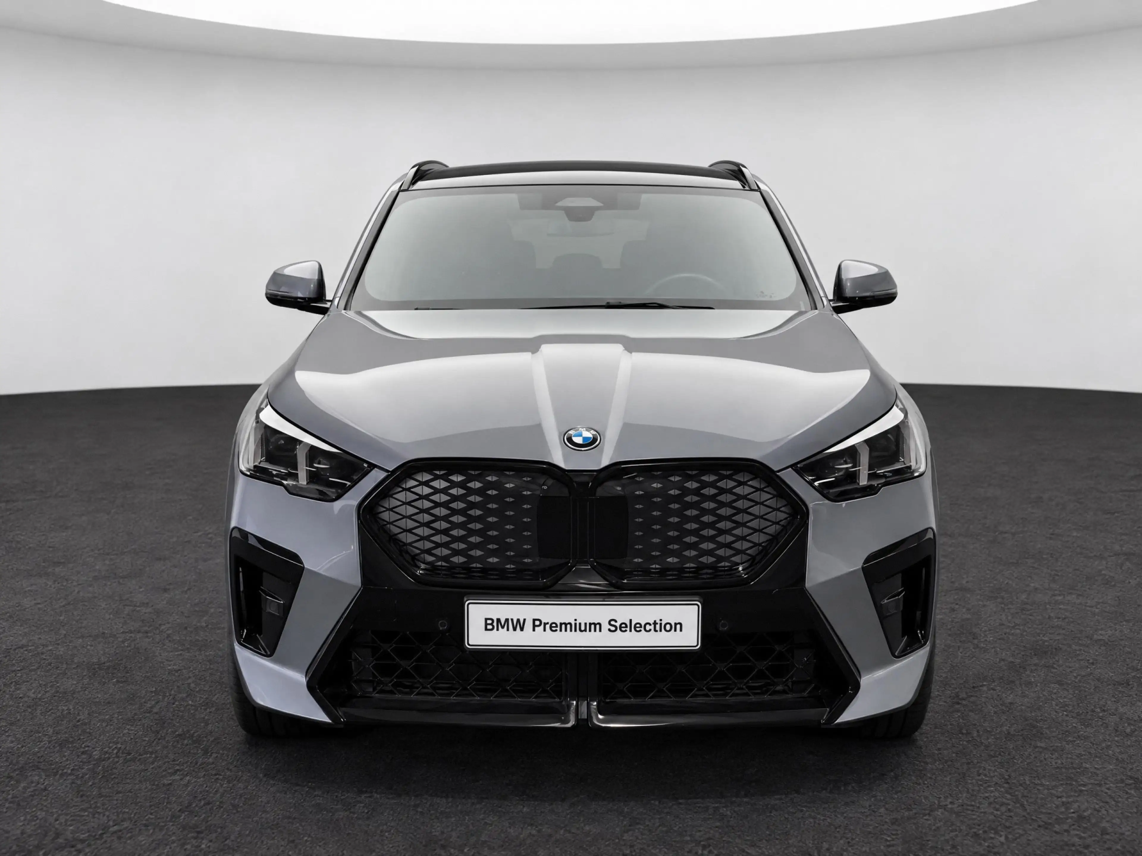 BMW iX2 xDrive30 M Sport / Trekhaak / Panoramadak / Sports — photo 2