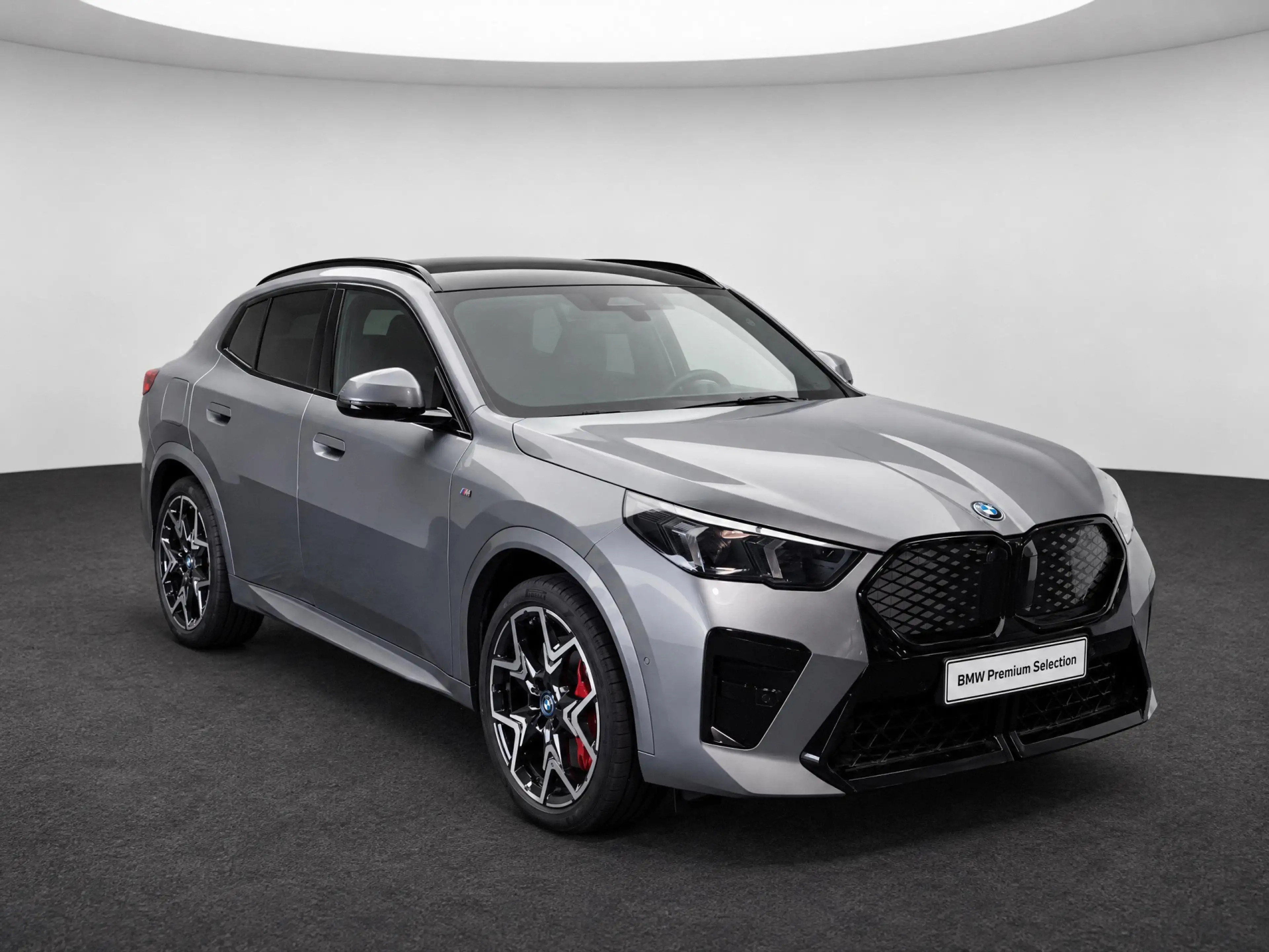 BMW iX2 xDrive30 M Sport / Trekhaak / Panoramadak / Sports — photo 3