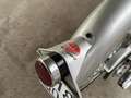Oldtimer Motorräder-Bike Mondial Lusso Sport 200cc 1953 Argent - thumbnail 14