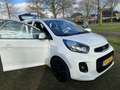 Kia Picanto 1.0 CVVT COMFORTLINE ALU VELGEN 5DRS Blanco - thumbnail 20