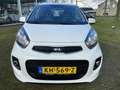 Kia Picanto 1.0 CVVT COMFORTLINE ALU VELGEN 5DRS Blanco - thumbnail 9