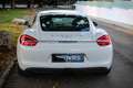 Porsche Cayman Blanc - thumbnail 20