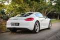 Porsche Cayman Blanc - thumbnail 19
