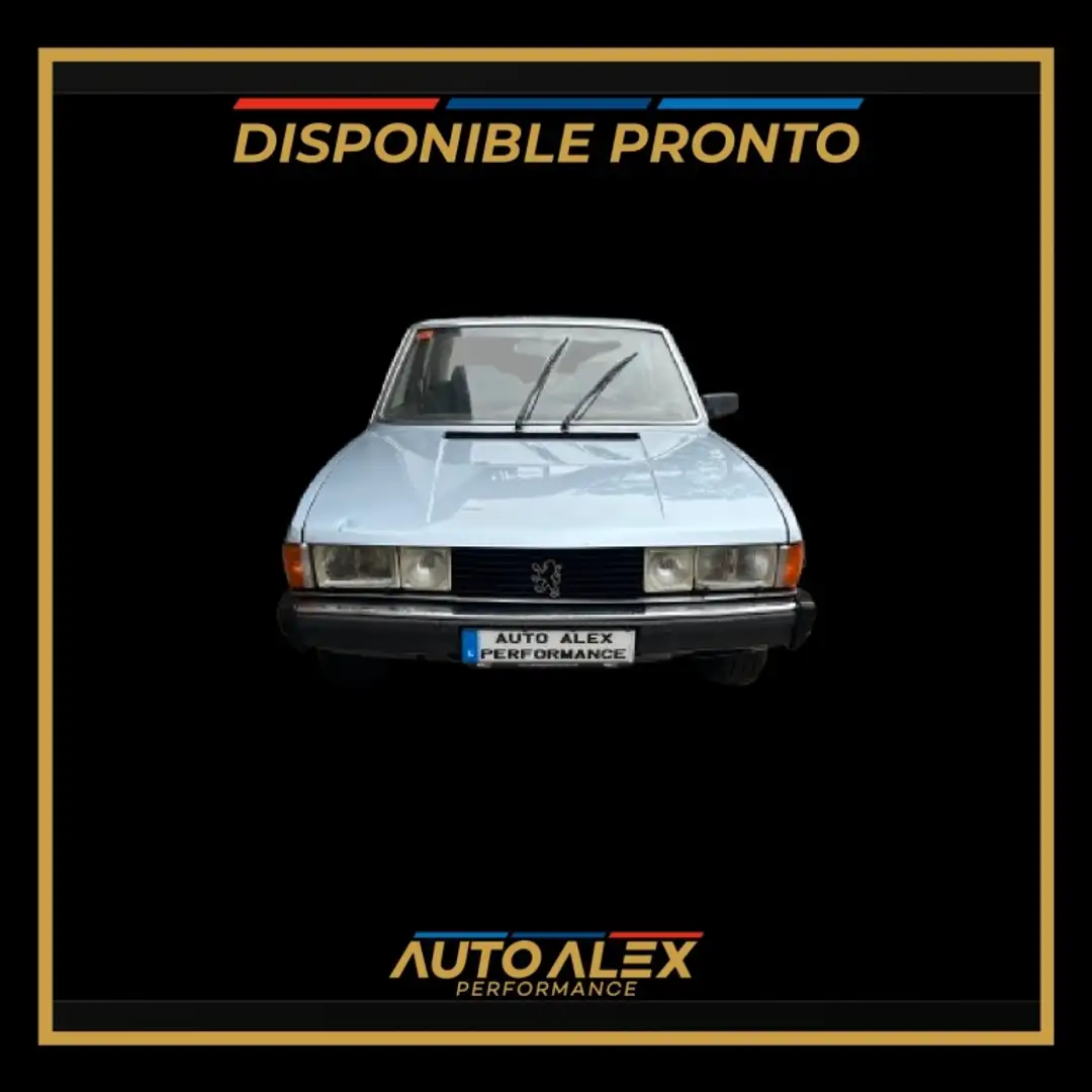 Peugeot 604 Berlina Manual de 4 Puertas Grijs - 2