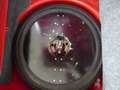 Alfa Romeo Spider 2600 Spider, gepflegter Zustand,driver´s choice crvena - thumbnail 40