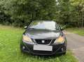 SEAT Ibiza Copa - thumbnail 14