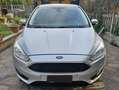 Ford Focus Focus IV 2015 5p 1.5 tdci Plus s Argento - thumbnail 1