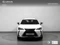 Lexus UX 250h Executive Navigation 2WD - thumbnail 4