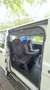 Ford Transit Custom 310 L1H1 VA Basis - thumbnail 13