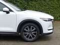 Mazda CX-5 SKYACTIV-D 175 AWD Automatik SPORTS-LINE + AHK + T Blanc - thumbnail 4