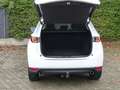 Mazda CX-5 SKYACTIV-D 175 AWD Automatik SPORTS-LINE + AHK + T Blanc - thumbnail 8