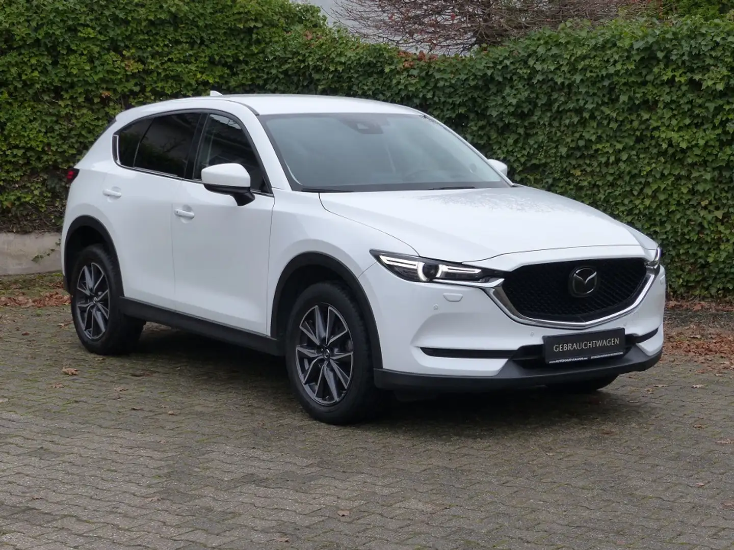 Mazda CX-5 SKYACTIV-D 175 AWD Automatik SPORTS-LINE + AHK + T Blanc - 2