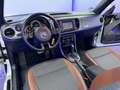 Volkswagen Beetle Cabriolet Allstar BMT DSG LEDER CAM NAVI Weiß - thumbnail 13