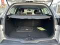 Ford Focus SW 1.6 tdci Plus Business 115cv - thumbnail 11