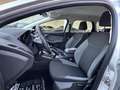 Ford Focus SW 1.6 tdci Plus Business 115cv - thumbnail 9