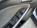Ford Focus SW 1.6 tdci Plus Business 115cv - thumbnail 13