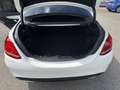 Mercedes-Benz C 200 4Matic 9G-TRONIC AMG Line Pano Blanco - thumbnail 12