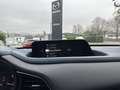 Mazda CX-30 L SKYACTIV-G 2.0 150PS M Hybrid 6GS AL-SELECTION Schwarz - thumbnail 16