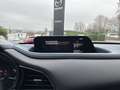 Mazda CX-30 L SKYACTIV-G 2.0 150PS M Hybrid 6GS AL-SELECTION Schwarz - thumbnail 19