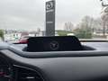 Mazda CX-30 L SKYACTIV-G 2.0 150PS M Hybrid 6GS AL-SELECTION Schwarz - thumbnail 15