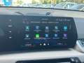 BMW X1 X1 xDrive20d Grün - thumbnail 20